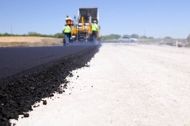 Best Interlocking Driveway Pavers  in Harlem Heights, FL